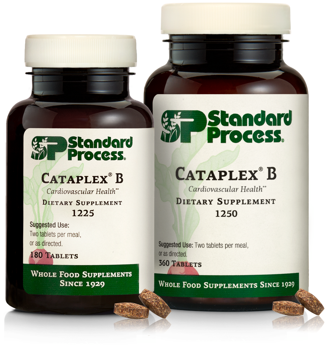 Cataplex® B, 360 Tablets