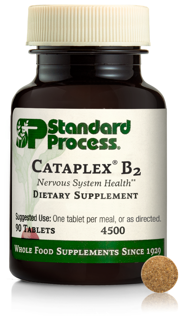 Cataplex® B2, 90 Tablets