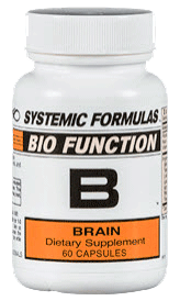 BIO FUNCTION B BRAIN
